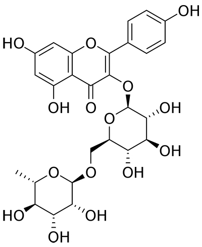 Kaempferol 3 - O - rutinoside