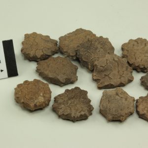 Hạt Gấc Ngâm Rượu