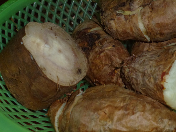 Sắn Dây 5
