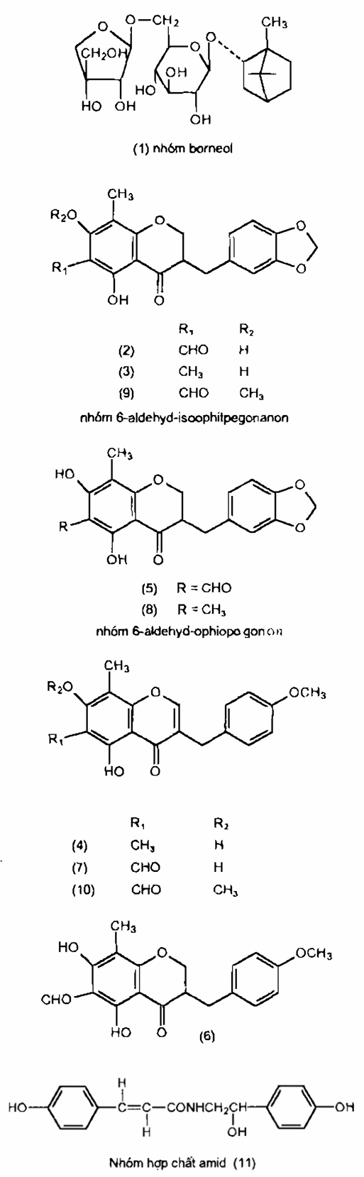 Thành Phần Hóa Học Mạch Môn