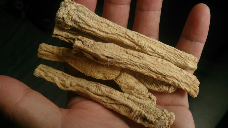 Đẳng Sâm 4