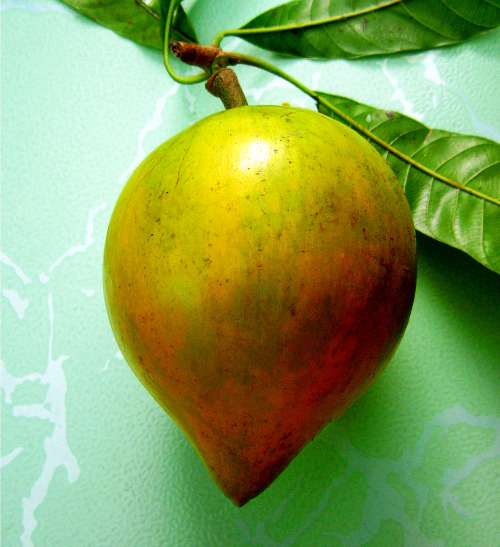 Trứng Gà 2