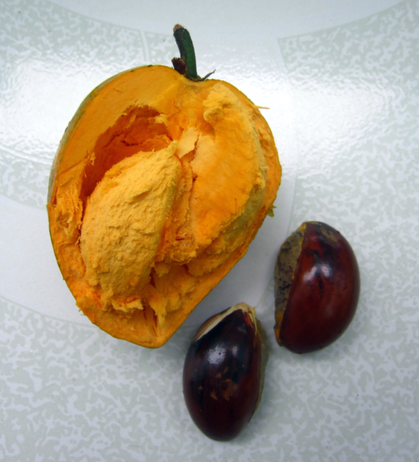 Trứng Gà 3