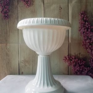 Chậu Ly Chân Cao (12/12/2020)