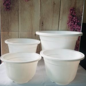 Chậu Tròn Trắng (12/12/2020)