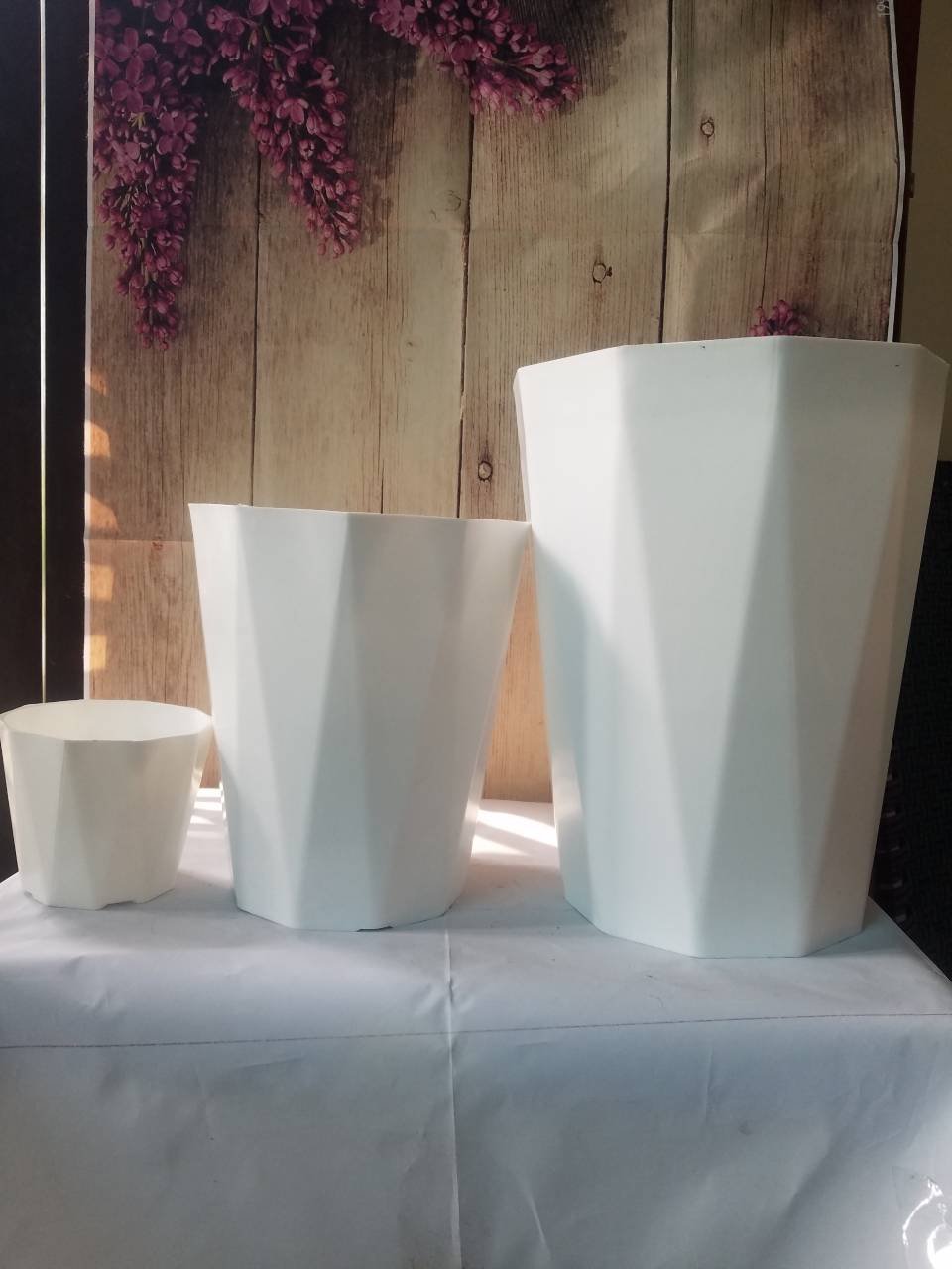 Chậu Kim Cương ( 12/12/2020 ) Chậu Kim Cương ( 12/12/2020 )