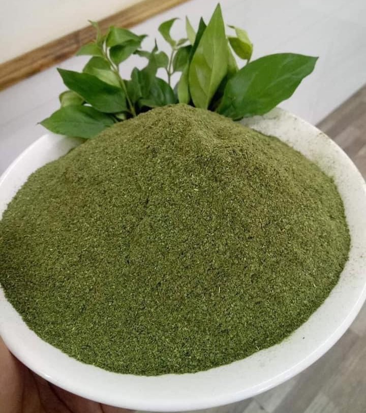 Catunaregam Tomentosa Leaf Powder (1)