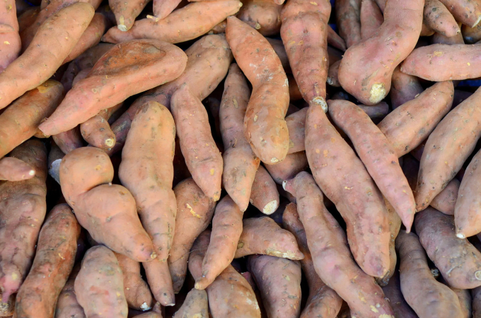 Củ Mài 2