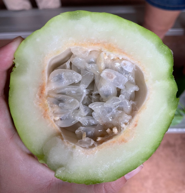 Dưa Tây 8