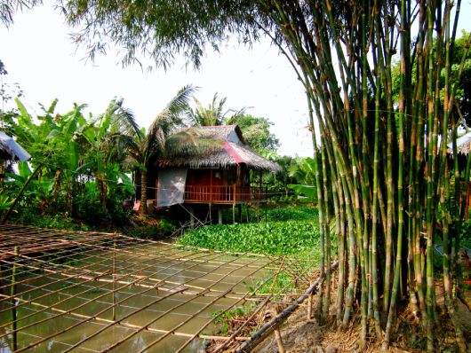 Tầm Vông 2