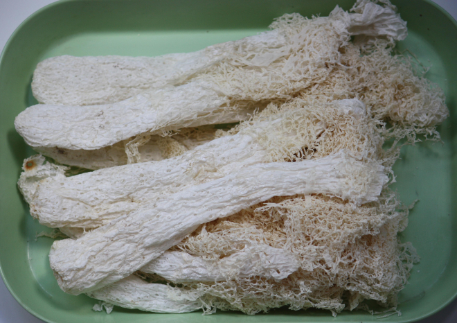 Nấm Tam Trúc 7