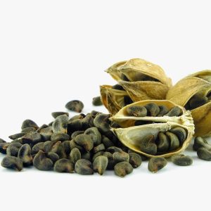 Hạt Giống Atiso đỏ