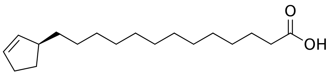 Đại Phong Tử 3
