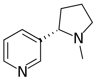 Thuốc Lá 6