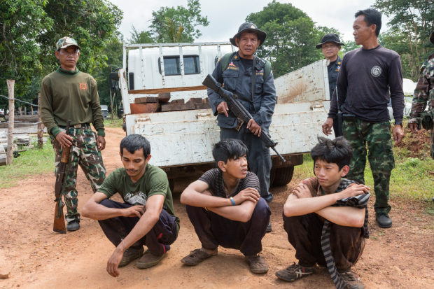 Rcs53 Siam Rosewood Poachers Caught By Anti Poaching Patrol