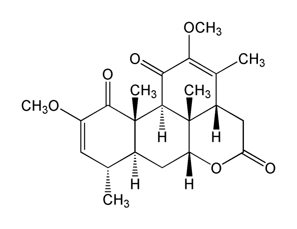 Thằn Lằn 4