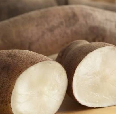 Củ sâm đất ăn ngon giàu dinh dưỡng