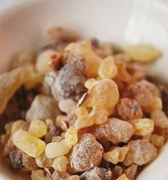 Nhũ hương vị thuốc quý trong y học